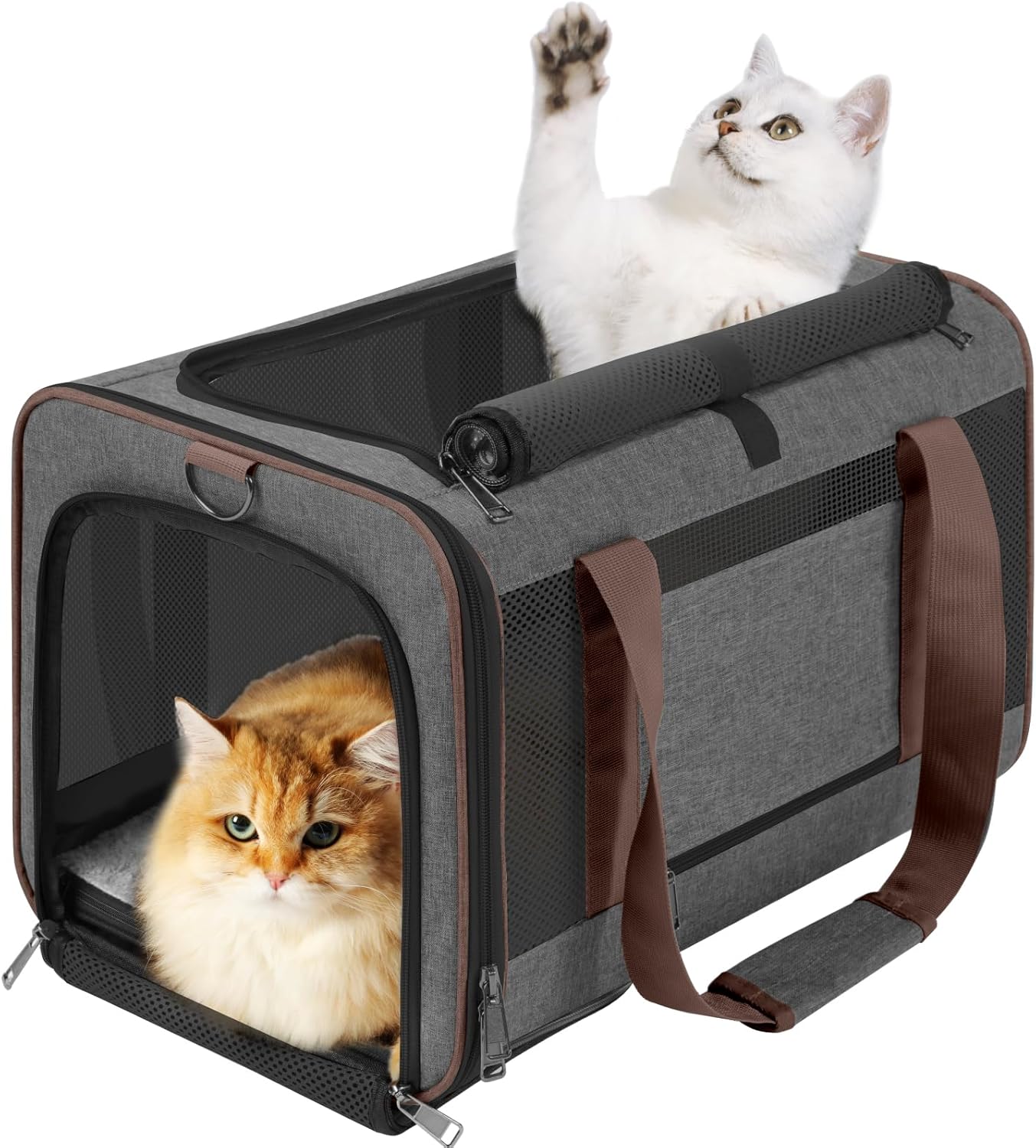 Pet carrier for large cats over 20 LBS Soft side small dog travel carrier Foldable carrying bag Sturdy transport carrier for long distance travel medi
