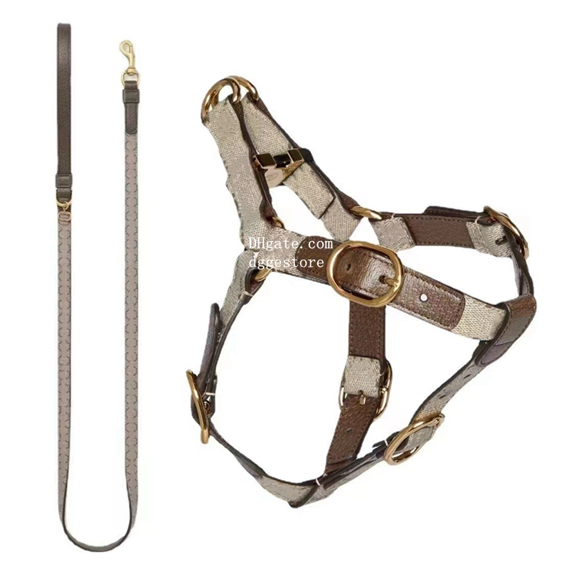 free shipping Collar and Leash Step in Dog Harness, Easy Fit Adjustable Pet Comfortable, Lightweight Leather Harness for Walking or Training Small Dog