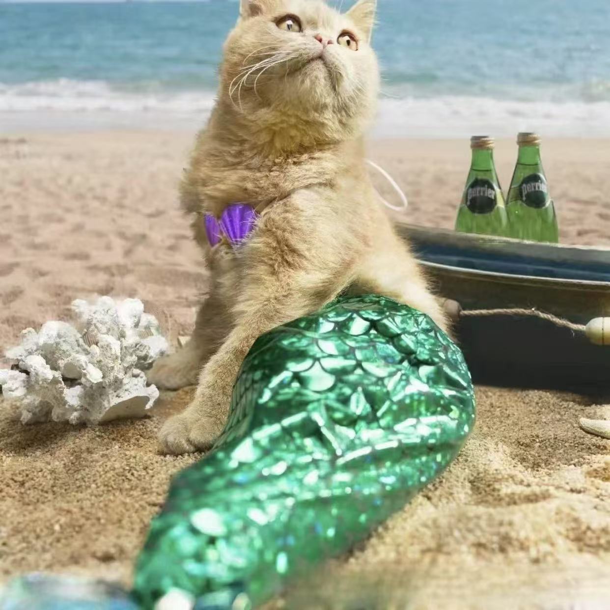 Pet cat mermaid tail clothes summer thin style funny dog styling shooting props costumes