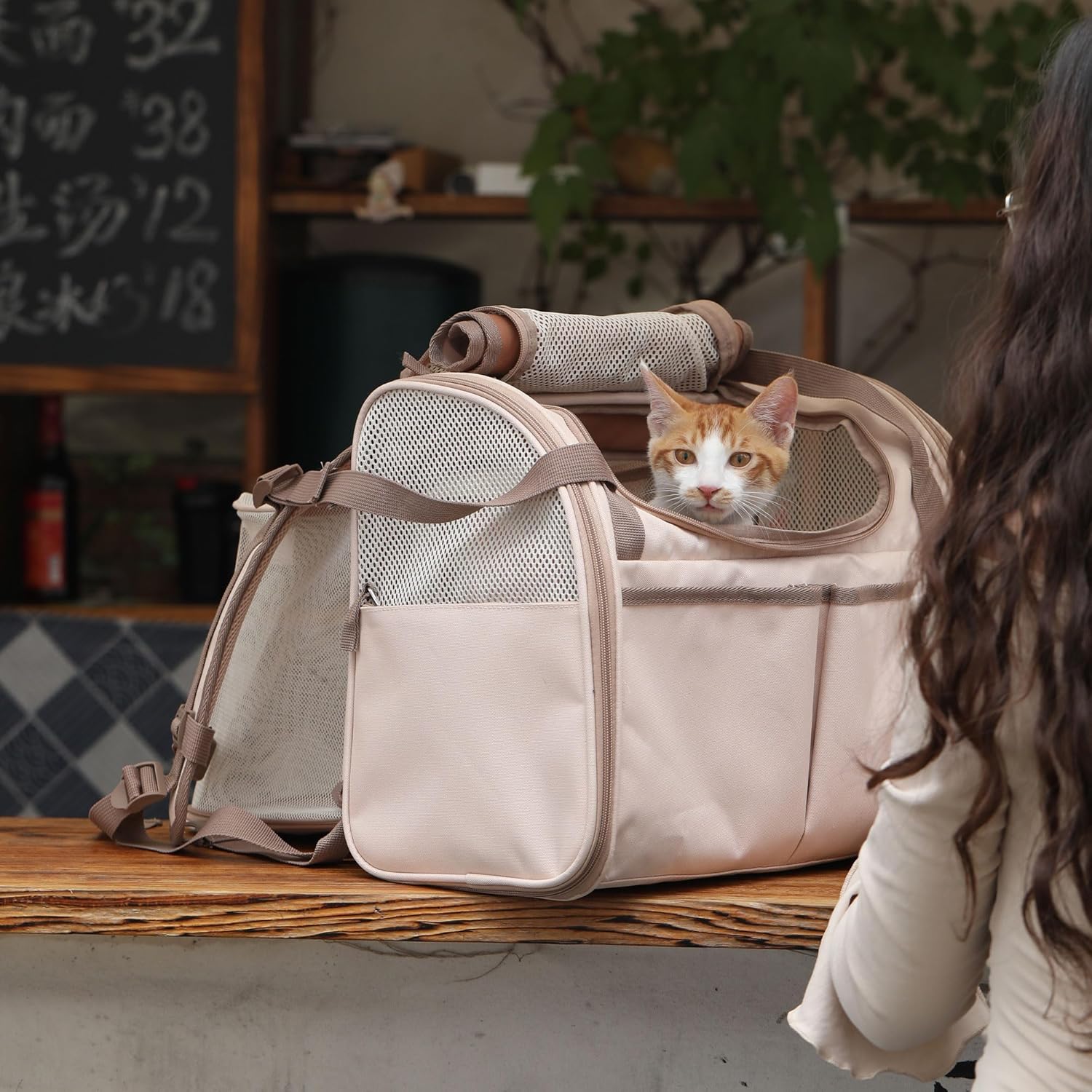 Cat Backpack, expandable small pet carrier,4 pockets, small animal hiking carry bag, airline approved cat carry bag with rolled-up lid for nervous cat