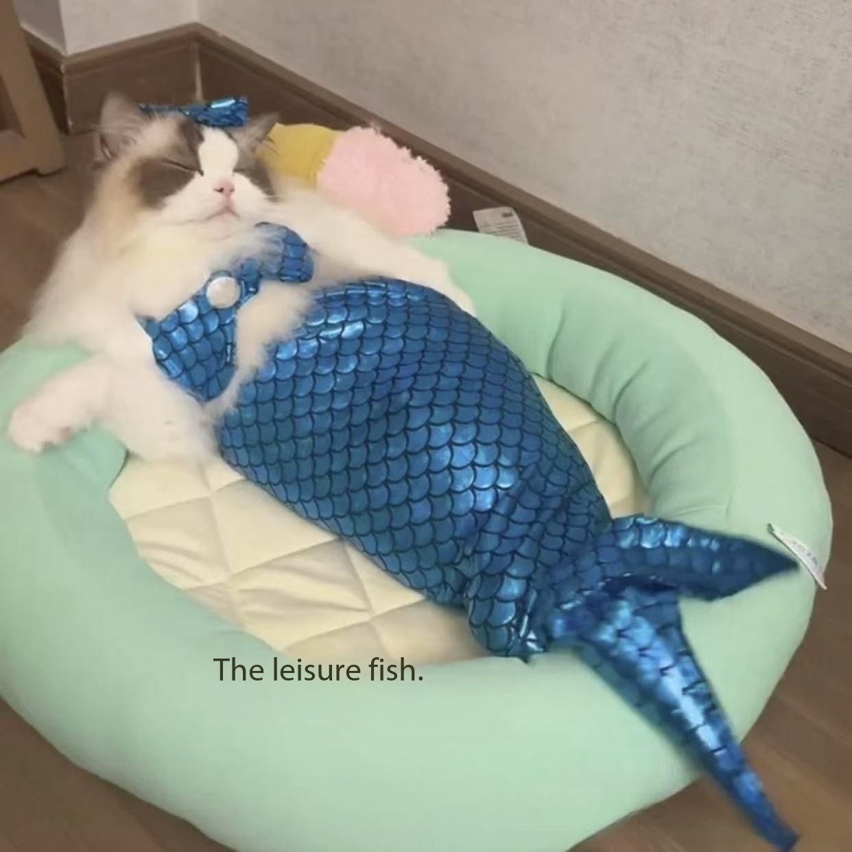 Pet cat mermaid tail clothes summer thin style funny dog styling shooting props costumes