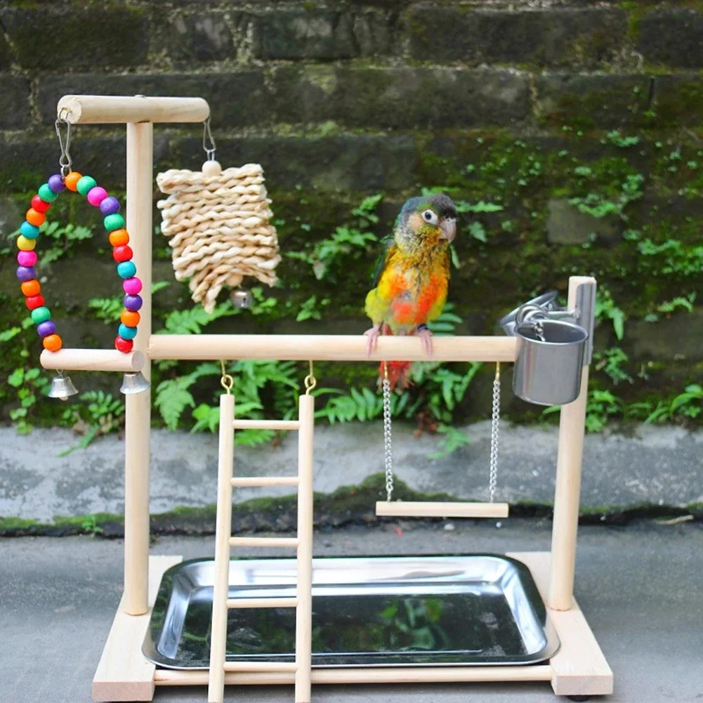 Bird Playground Perch Stand Feeding Cups Swing Climbing Ladder Parrot Playstand Exercise Playgym For Parakeet Cockatiel Lovebi 250121