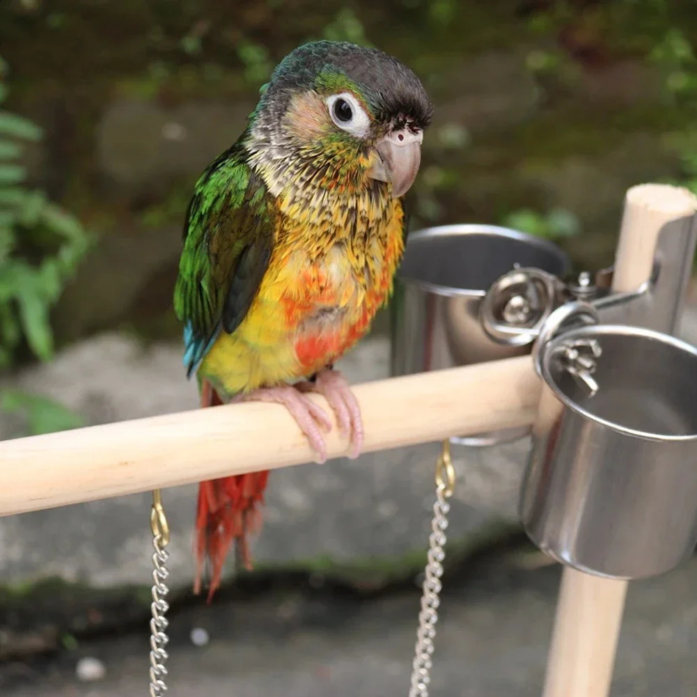 Bird Playground Perch Stand Feeding Cups Swing Climbing Ladder Parrot Playstand Exercise Playgym For Parakeet Cockatiel Lovebi 250121
