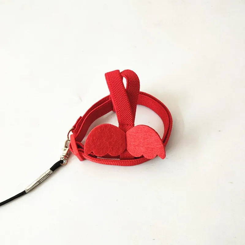 Parrots release rope tiger skin peonies Xuan Feng birds use little angel suspenders to walk birds pull and release ropes 250117