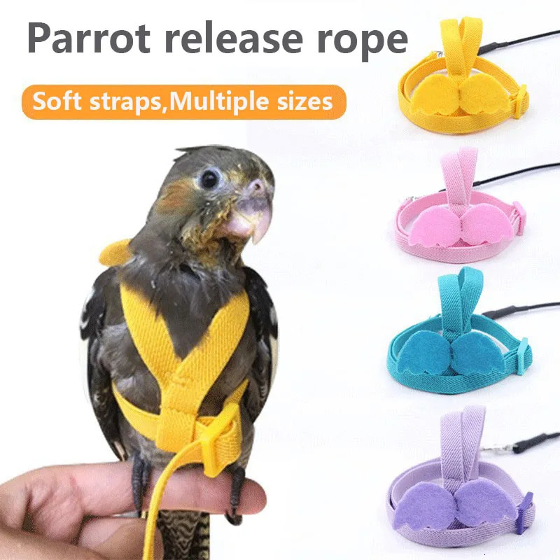 Parrots release rope tiger skin peonies Xuan Feng birds use little angel suspenders to walk birds pull and release ropes 250117
