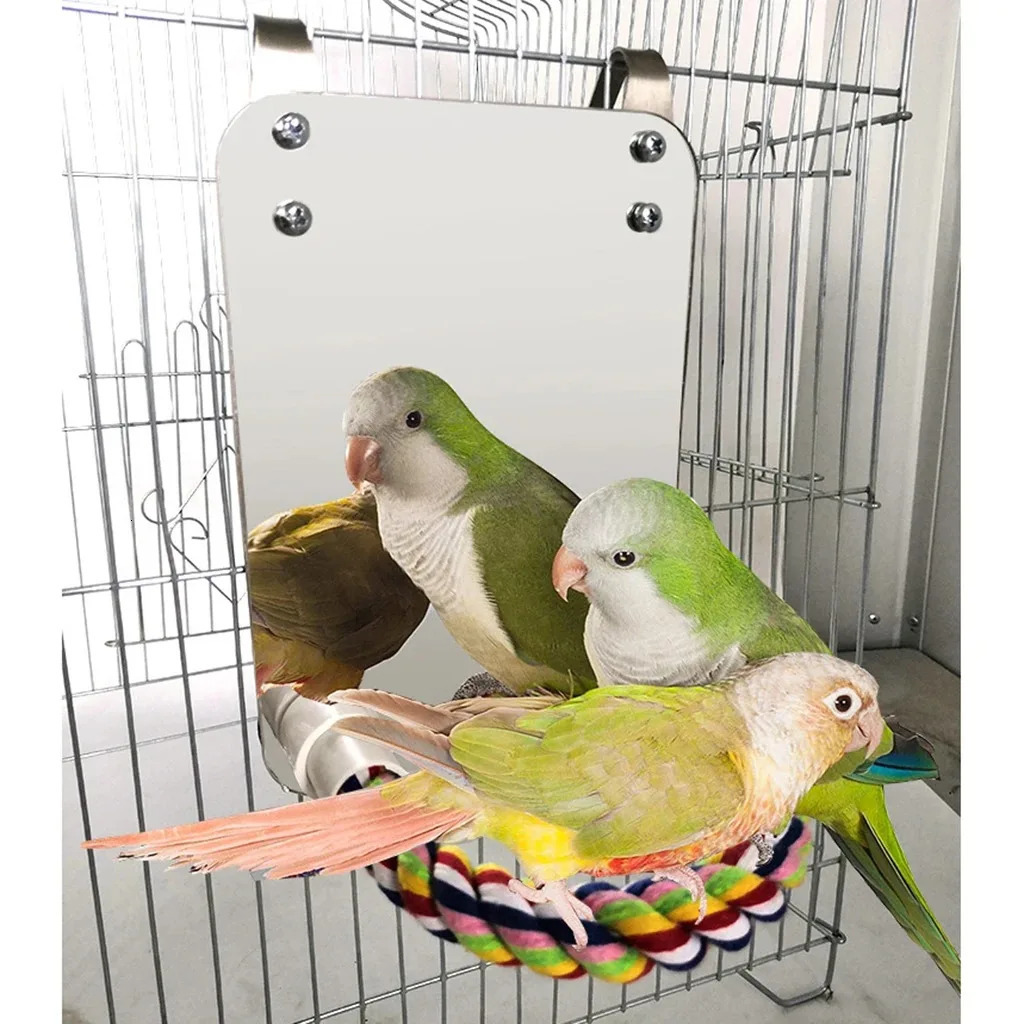 Bird Mirror With Perch Cage Swing Toy Macaws Finches Small Parakeet Rope Stand for Parrot Pet Supplies 250121