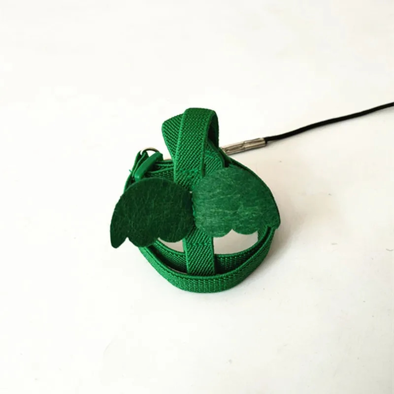 Parrots release rope tiger skin peonies Xuan Feng birds use little angel suspenders to walk birds pull and release ropes 250117