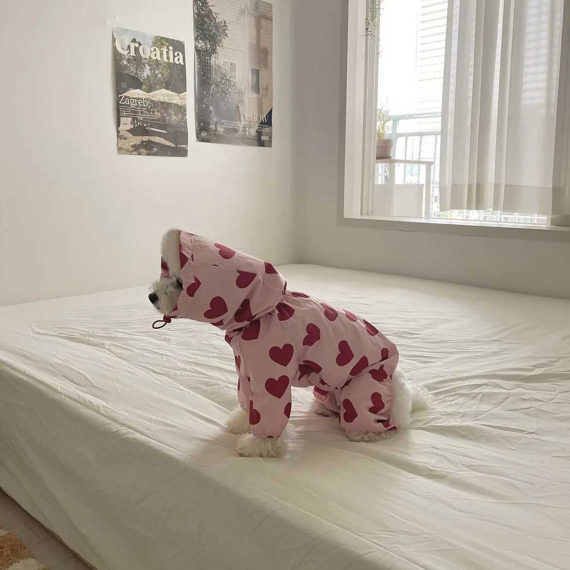 Ins multi in one waterproof heart-shaped cloud print pet raincoat Dog Model Cute Hooded Dog Clothes Mascotas Dog CostumeXJ250121