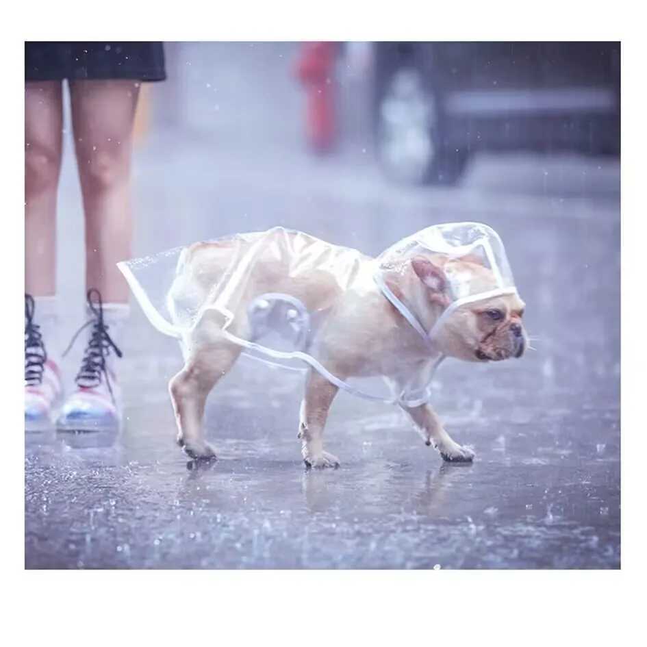Pet Dog Raincoat Clothes Puppy Transparent Rain Slicker Waterproof Dogs Jumpsuit Pet Clothing for Small Large dogs XS-7XLXJ250121