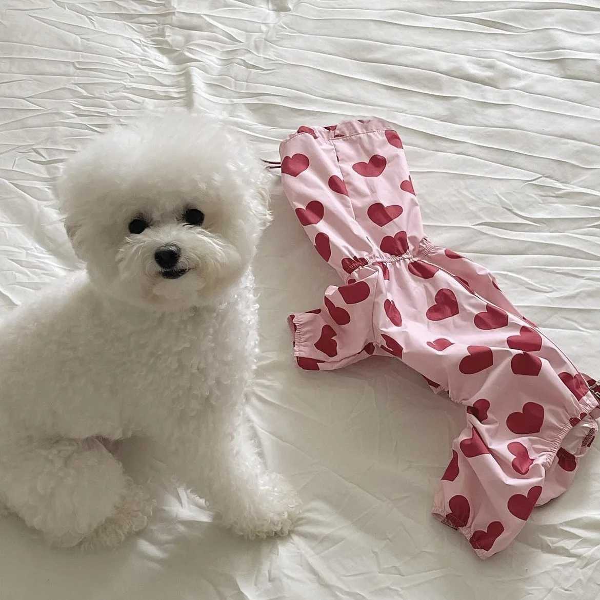 Ins multi in one waterproof heart-shaped cloud print pet raincoat Dog Model Cute Hooded Dog Clothes Mascotas Dog CostumeXJ250121