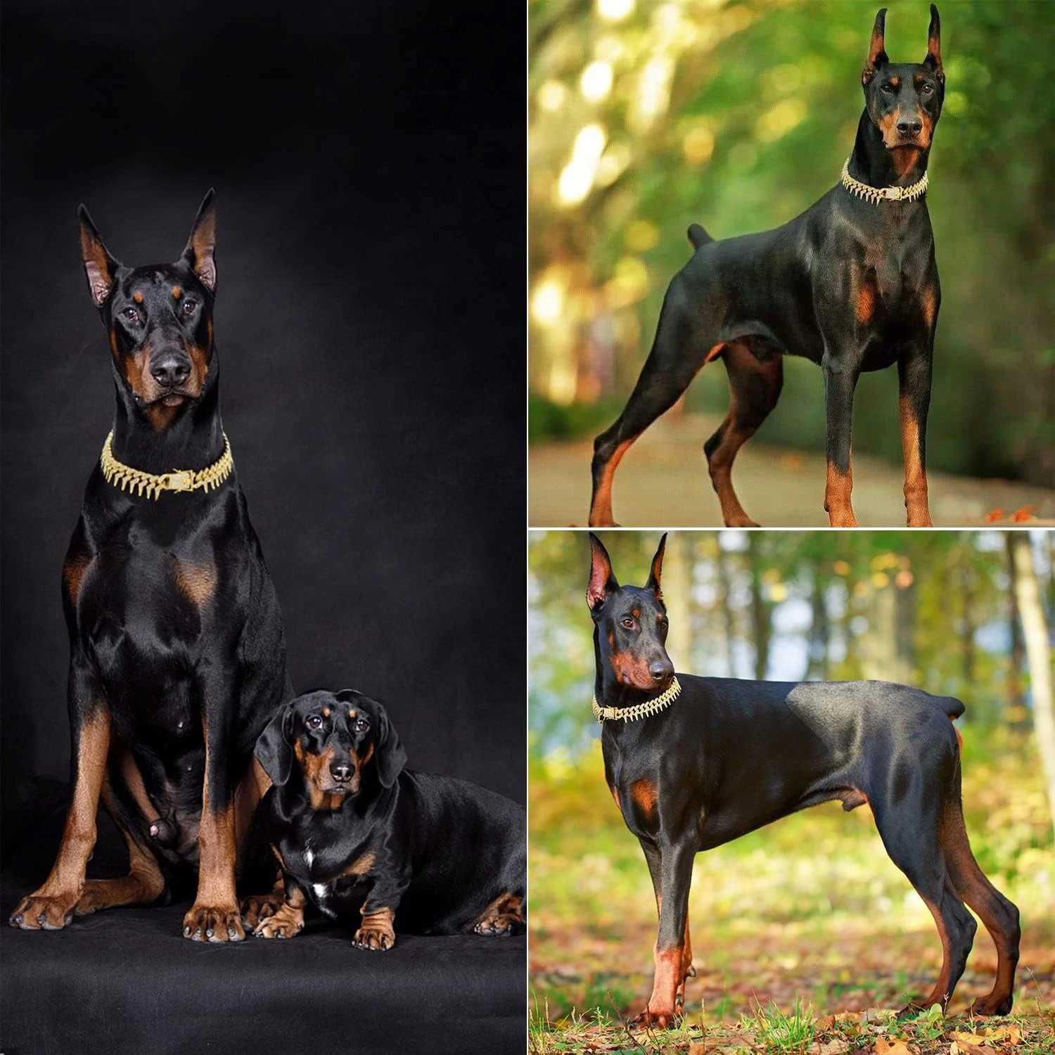 13mm Bling Diamond Chain Dog Cat Collar with Spiked Rivet Design Luxury Gold Cuban Link Dog Collar for Small Medium Large Dogs X250129