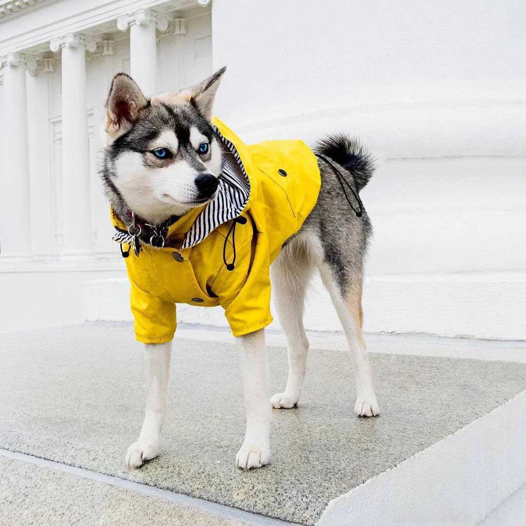 Dog Raincoat Windproof and Rainproof Yellow Puppy Hoodies Jacket Multi-size Suitable for Large Medium and Small Dog ClothesXJ250121