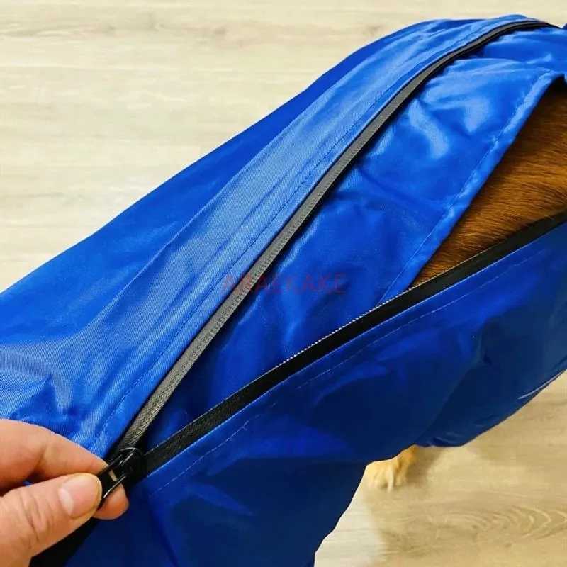 Pet dog big dog medium to large dog golden haired Samoyed Alaska all inclusive raincoat hooded bag tail rain gearXJ250121