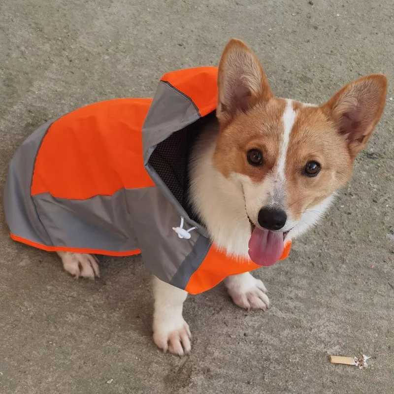 Summer New Dog Colored Raincoat Outdoor Two Legged Waterproof and Dustproof Pet Raincoat Large Medium Dog Corgi Cool Pet ApparelXJ250121