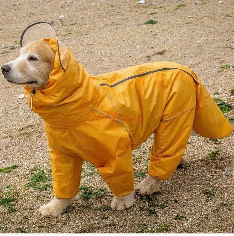 Pet dog big dog medium to large dog golden haired Samoyed Alaska all inclusive raincoat hooded bag tail rain gearXJ250121