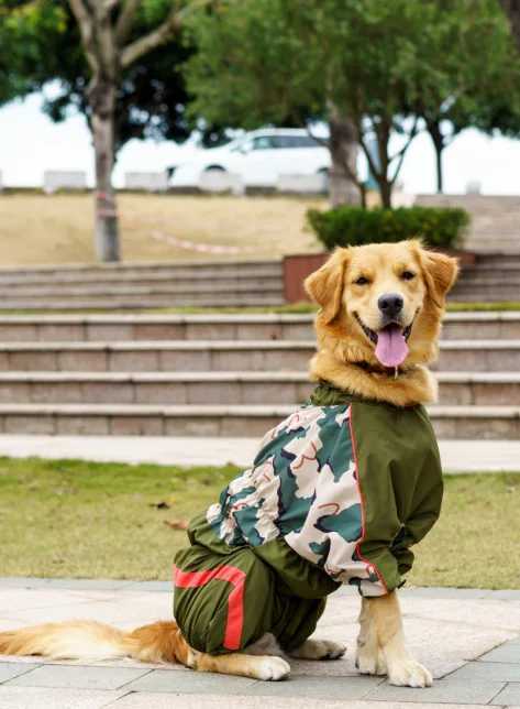 Girl Stock Large Dog Raincoat Golden Retriever Raincoat For A Dog Waterproof Clothes Pet Jumpsuit Belly Closed Big Animal GoodsXJ250121