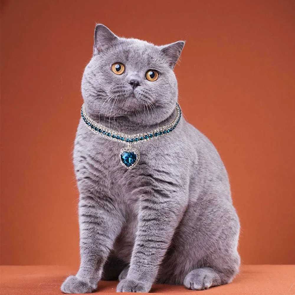 Jewelry Rhinestone Dog Collar Cat Heart Crystal Diamond Necklace Pet Bling Princess Collar Puppy Supplies Luxury Pet Accessories X250129