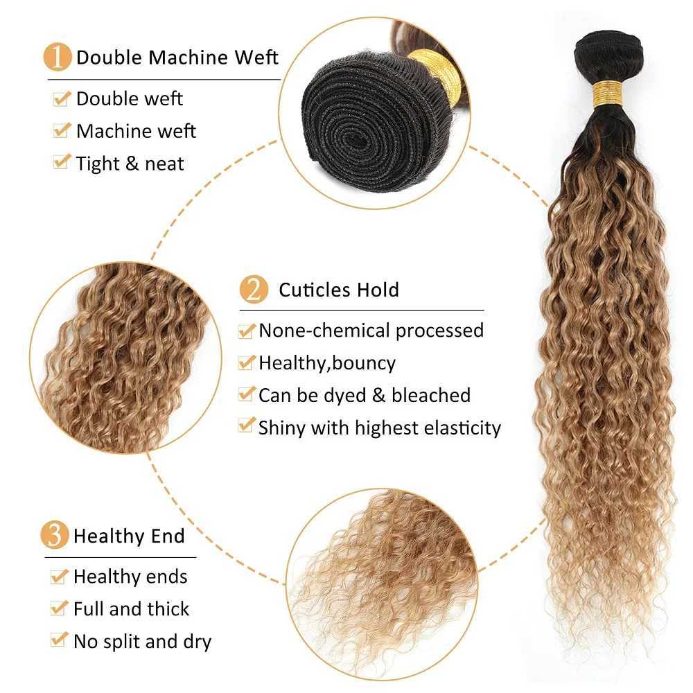 Water Wave Bundles With Clo Honey Blonde Human Hair Bundles With Clo Brazilian 1B/27 Curly Bundles With CloXJ250120