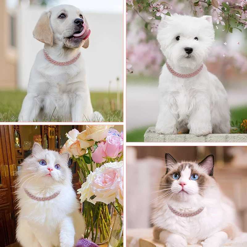 13MM Pink Diamond Personized Dog Collars for Small Medium Dogs Cat Gold Chain Cuban Collar with Design Secure Buckle X250129