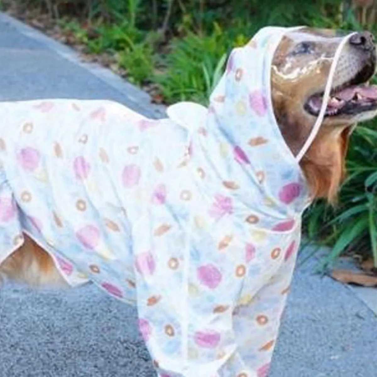 Extra Large Dog Hooded Raincoat with Transparent Brim Breathable 4-Legged Design Cartoon Print for Labrador Golden RetrieverXJ250121