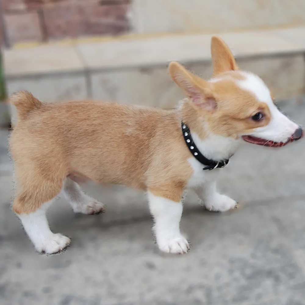 Dog Collar Bling Rhinestone Soft Suede Imitation Leather Collar Pet Accessories Crystal Diamond Collar for Small Medium Dogs X250129
