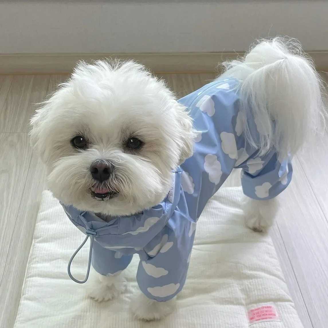 Cute Clouds Love Dog Raincoat Tpu Thickened Waterproof All-Inclusive Rain Poncho Pet Puppy Hooded Four-Legged Coat Dog ClothesXJ250121
