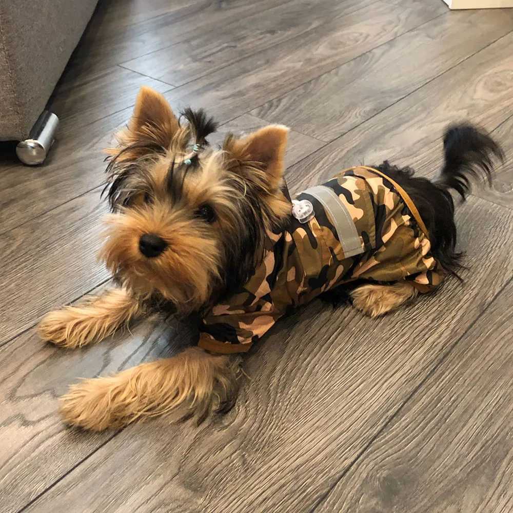 Dog Raincoat Puppy Rain Coat with Hood Reflective Waterproof Dog Clothes Soft Breathable Pet Cat Small Dog Rainwear XS - 5XLXJ250121