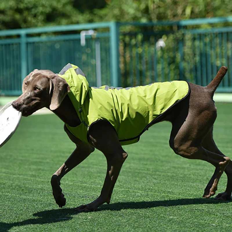 Pet Dog Waterproof Jacket Dog Summer Vest Raincoat Reflective Pet Outdoor Clothes Small Medium Large Dogs Pet Jacket Ropa ParaXJ250121