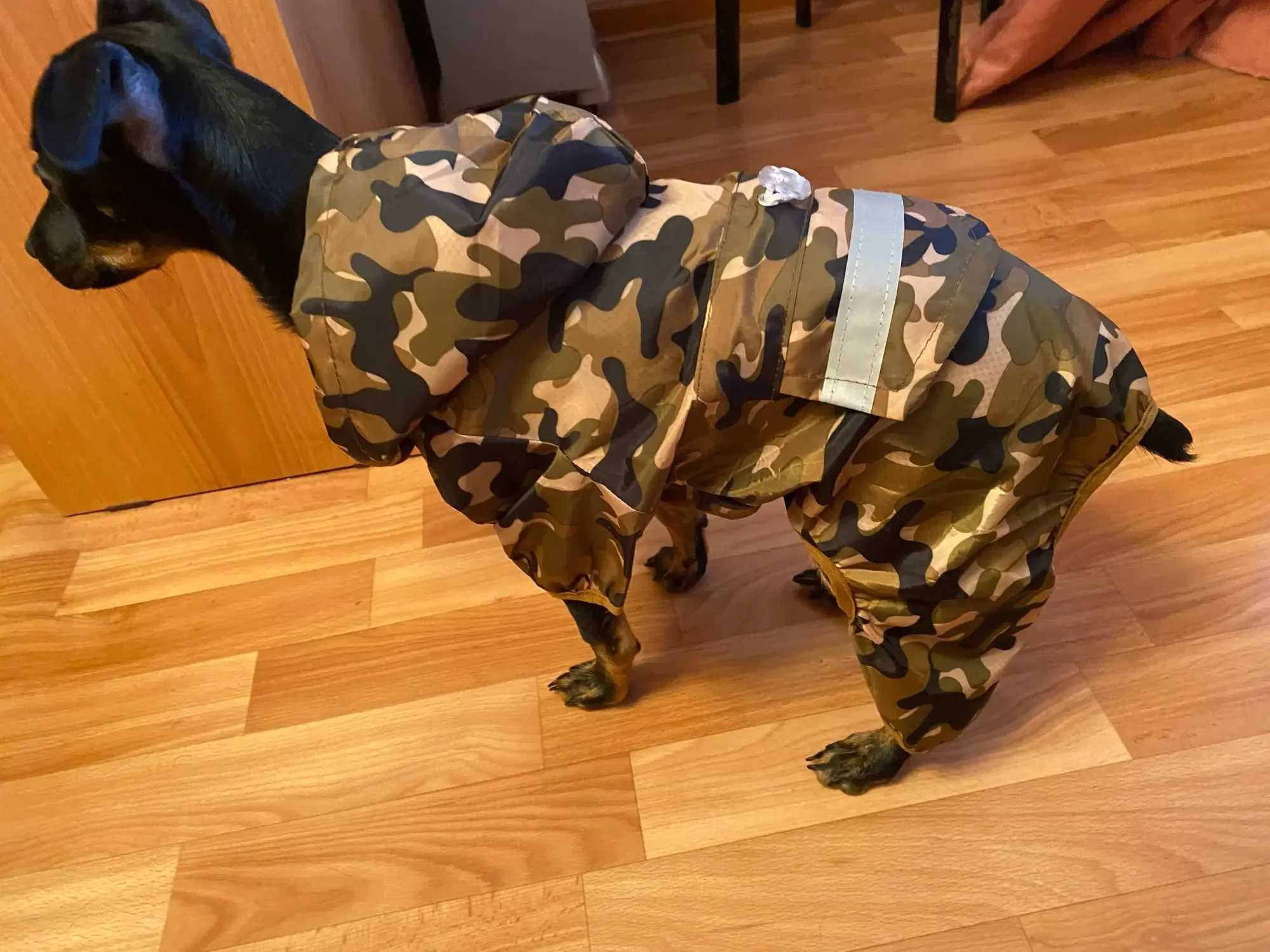 Pet Dog Raincoat Hooded Jumpsuit Waterproof Pet Dog Clothes Puppy Small Dog Rain Coat Jacket Raincoat For Dogs o com capuzXJ250121