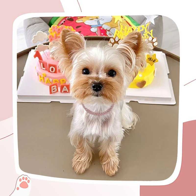 13MM Pink Diamond Personized Dog Collars for Small Medium Dogs Cat Gold Chain Cuban Collar with Design Secure Buckle X250129