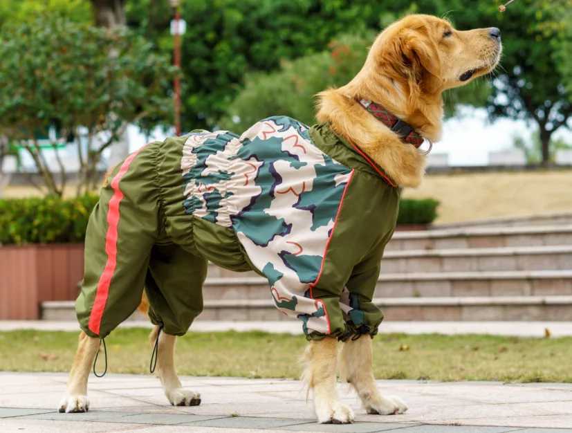 Girl Stock Large Dog Raincoat Golden Retriever Raincoat For A Dog Waterproof Clothes Pet Jumpsuit Belly Closed Big Animal GoodsXJ250121