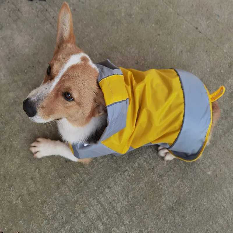 Summer New Dog Colored Raincoat Outdoor Two Legged Waterproof and Dustproof Pet Raincoat Large Medium Dog Corgi Cool Pet ApparelXJ250121
