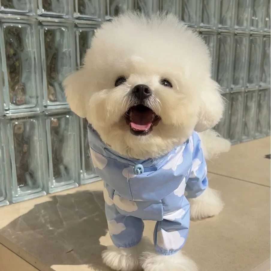 Ins multi in one waterproof heart-shaped cloud print pet raincoat Dog Model Cute Hooded Dog Clothes Mascotas Dog CostumeXJ250121