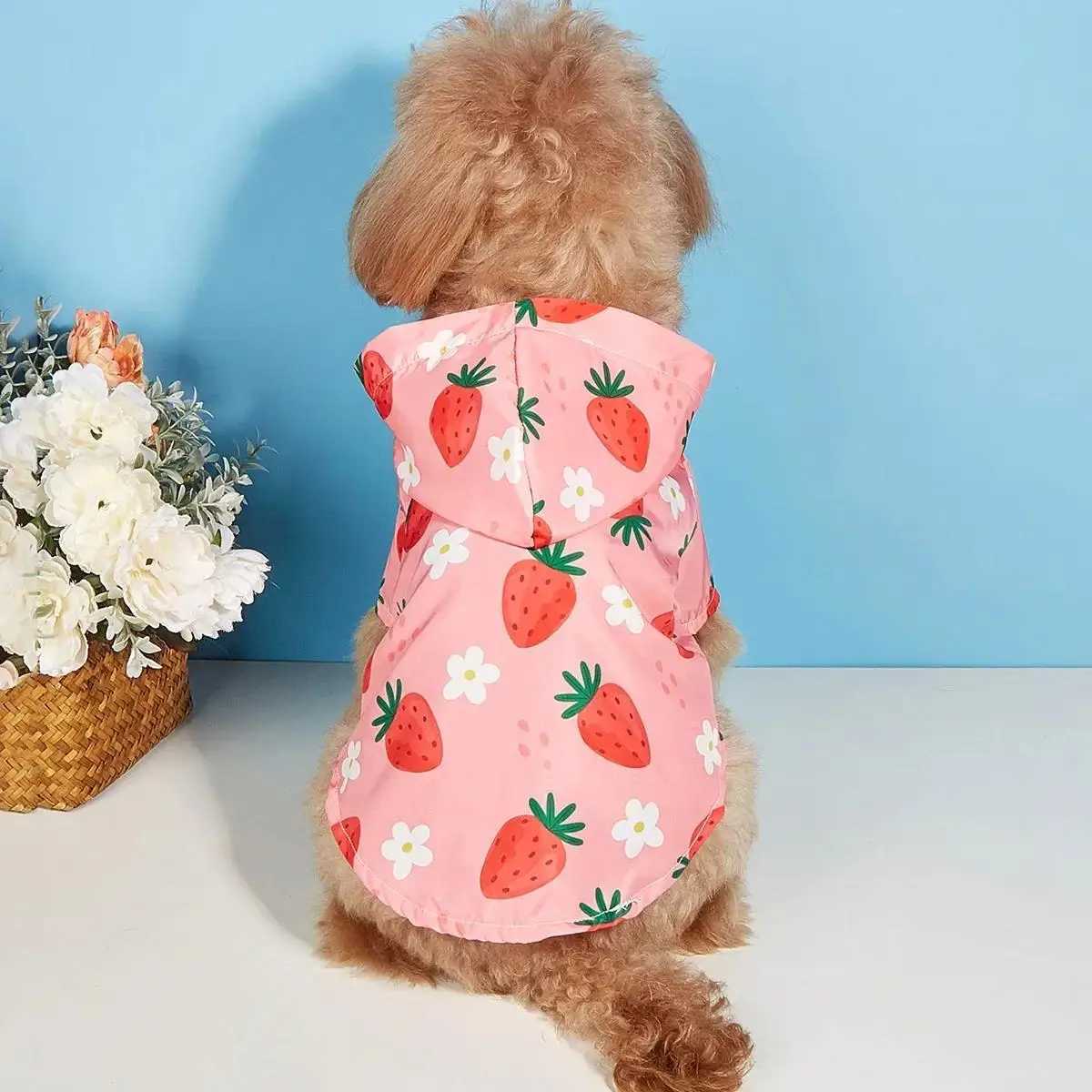 Rainy Day Must-have Stylish Strawberry Dog Raincoat for Your Stylish Furry Friend Dog Outfit Dog RaincoatXJ250121