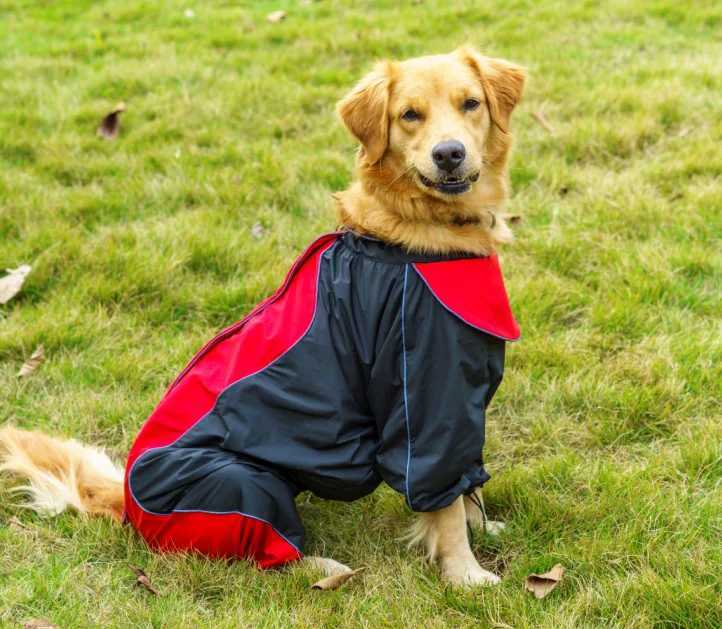 Girl Stock Large Dog Raincoat Golden Retriever Raincoat For A Dog Waterproof Clothes Pet Jumpsuit Belly Closed Big Animal GoodsXJ250121