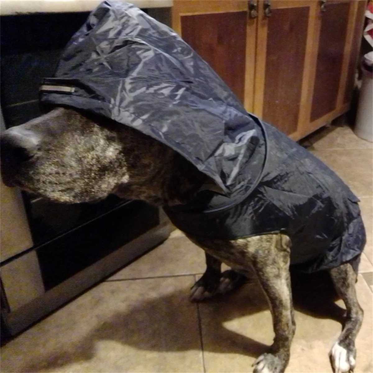 Dog Raincoat Convenient Reflective Pet Rainy Dog Clothes Outdoor Waterproof Cape Pet RaincoatXJ250121