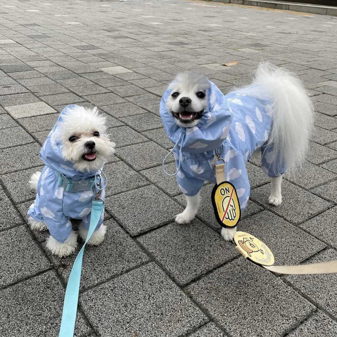 Cute Love Dog Raincoat Tpu Thickened Waterproof coat Puppy Hooded Four-Legged Coat Dog Clothes All-Inclusive rainclothes foXJ250121