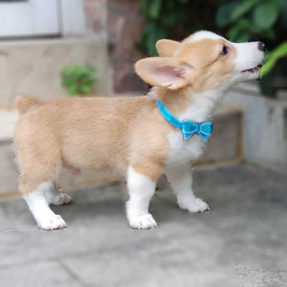 Dog Collar Bling Rhinestone Soft Suede Imitation Leather Collar Pet Accessories Crystal Diamond Collar for Small Medium Dogs X250129
