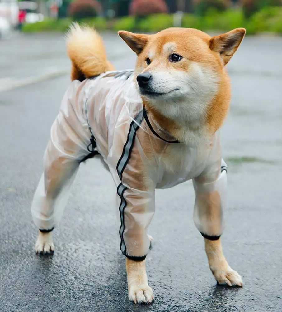 Dog Raincoat Transparent Reflective 4-Legs Waterproof Coat for Small Medium and Large Dogs Rain JacketXJ250121