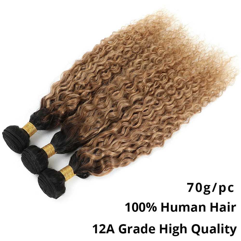 Water Wave Bundles With Clo Honey Blonde Human Hair Bundles With Clo Brazilian 1B/27 Curly Bundles With CloXJ250120
