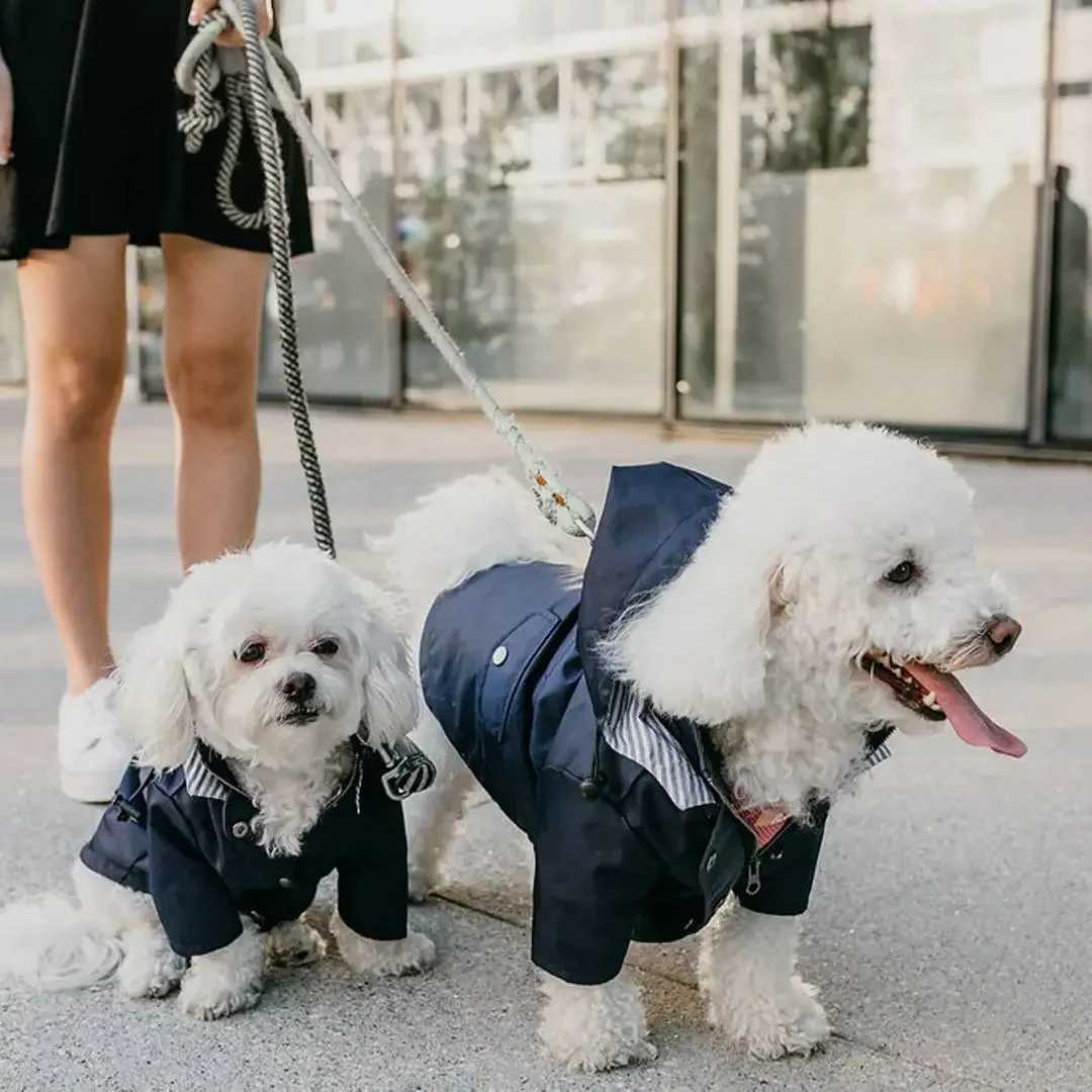 Dog Raincoat Windproof and Rainproof Yellow Puppy Hoodies Jacket Multi-size Suitable for Large Medium and Small Dog ClothesXJ250121