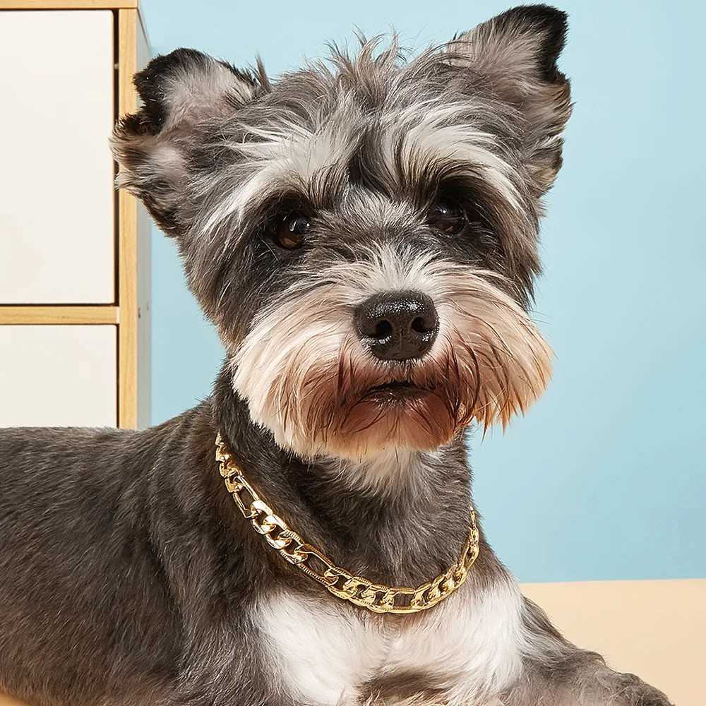 Pet Dog Chain Cuban Collar Walking Metal Chain Cuban Collar Pet Collar Safety Buckle Pet Cat Cuban Collar Jewelry Dog Accessories X250129