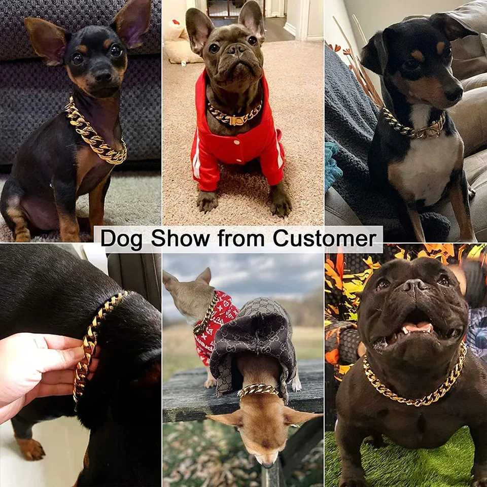 14mm Gold Dog Chains Collar for Dogs Stainless Steel Metal Luxury Necklace Pet Accessory X250129