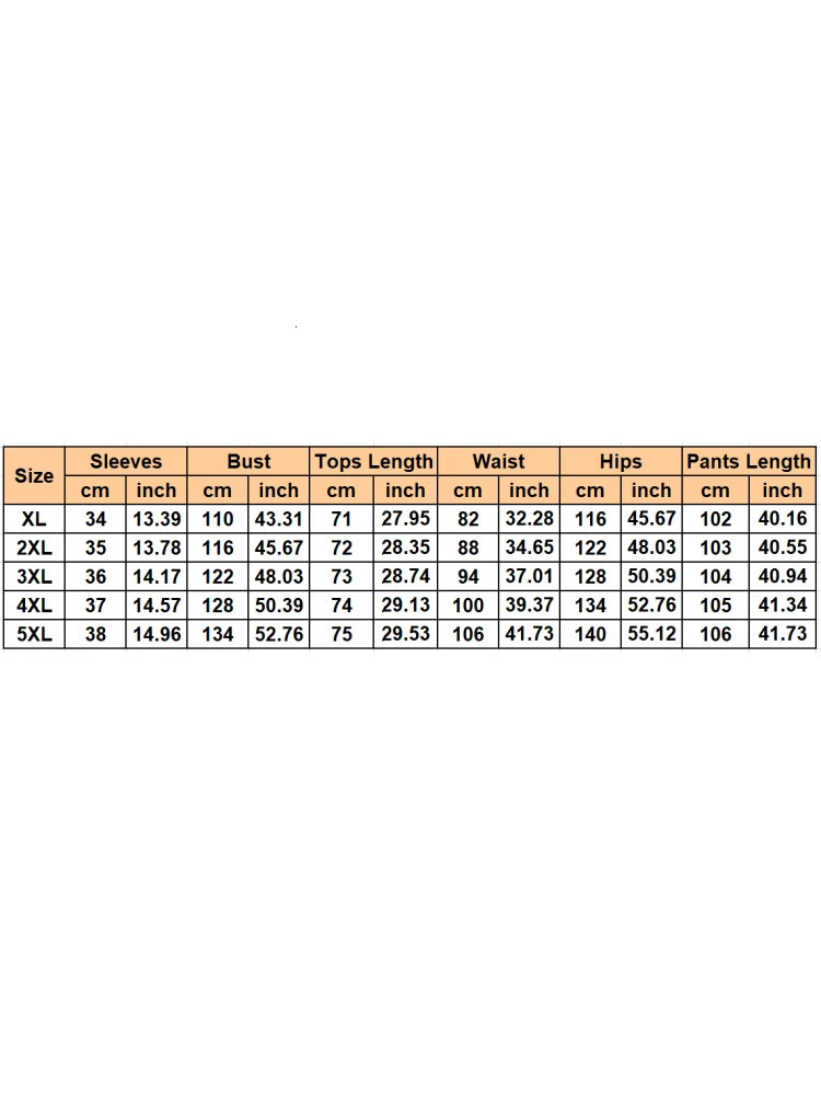 2 Piece Women Sets 2024 Arrival Plus Size Summer Matching Print Two Pieces Top Pants Suits Outfits Clothing y250122