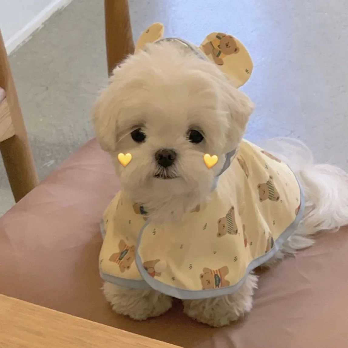 Puppy Dog Rain Coat Waterproof Reflective Classics Pet Raincoat with Harness for Small Dogs Pomeranian Dachshund ImpermeableXJ250121