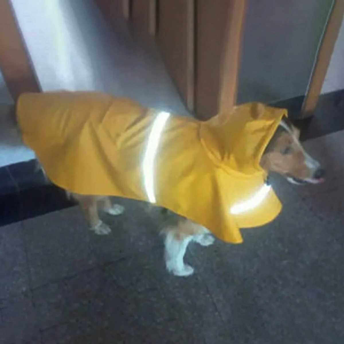 1pc - Adjustable Waterproof Dog Raincoat - Ultra-Protective Durable Quick-Dry for Rainy Adventures - Ensures Cozy Comfort!XJ250121