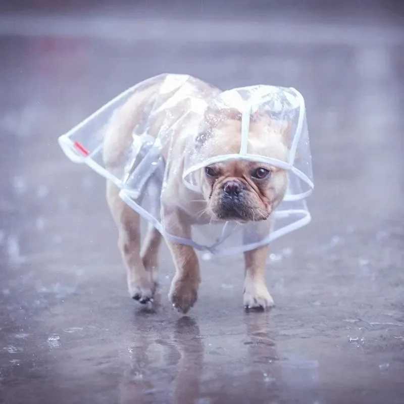 1pc Transparent Hooded Pet Dog Plastic Raincoat Dog Clothes Poncho For Small Dogs Little Puppy Pet Outdoor AccessoriesXJ250121