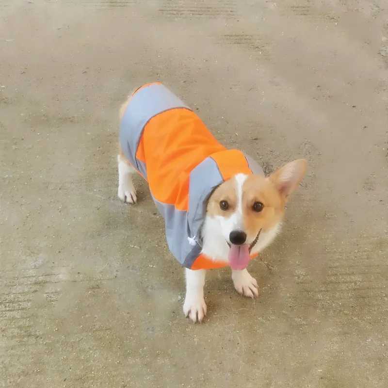 Summer New Dog Colored Raincoat Outdoor Two Legged Waterproof and Dustproof Pet Raincoat Large Medium Dog Corgi Cool Pet ApparelXJ250121