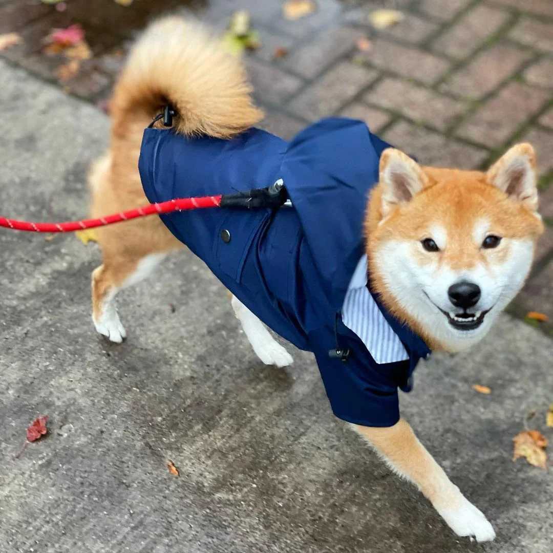 Dog Raincoat Windproof and Rainproof Yellow Puppy Hoodies Jacket Multi-size Suitable for Large Medium and Small Dog ClothesXJ250121