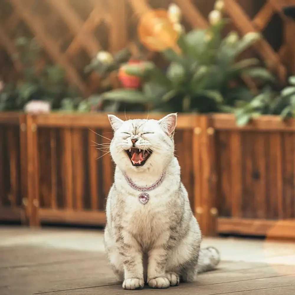 Luxury Crystal Cat Collar Love Pendant Necklace Pet Collar Adjustable Dog Collar Water Diamond Collar Pet Accessories X250129